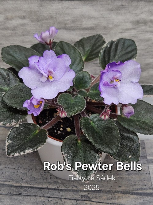 Rob's Pewter Bells